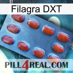 Filagra DXT 06